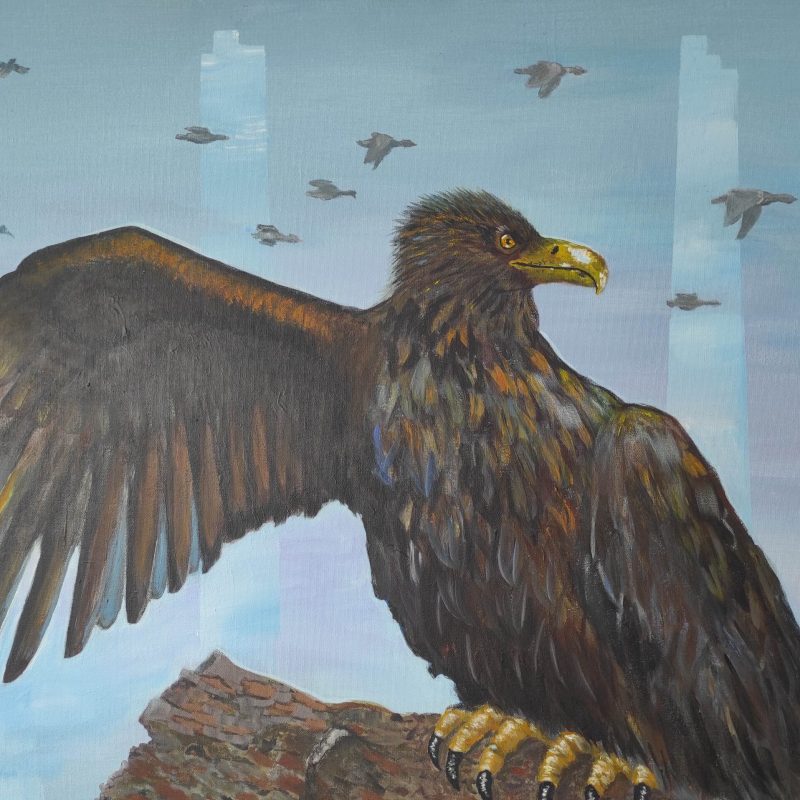 Kotkas 80x70